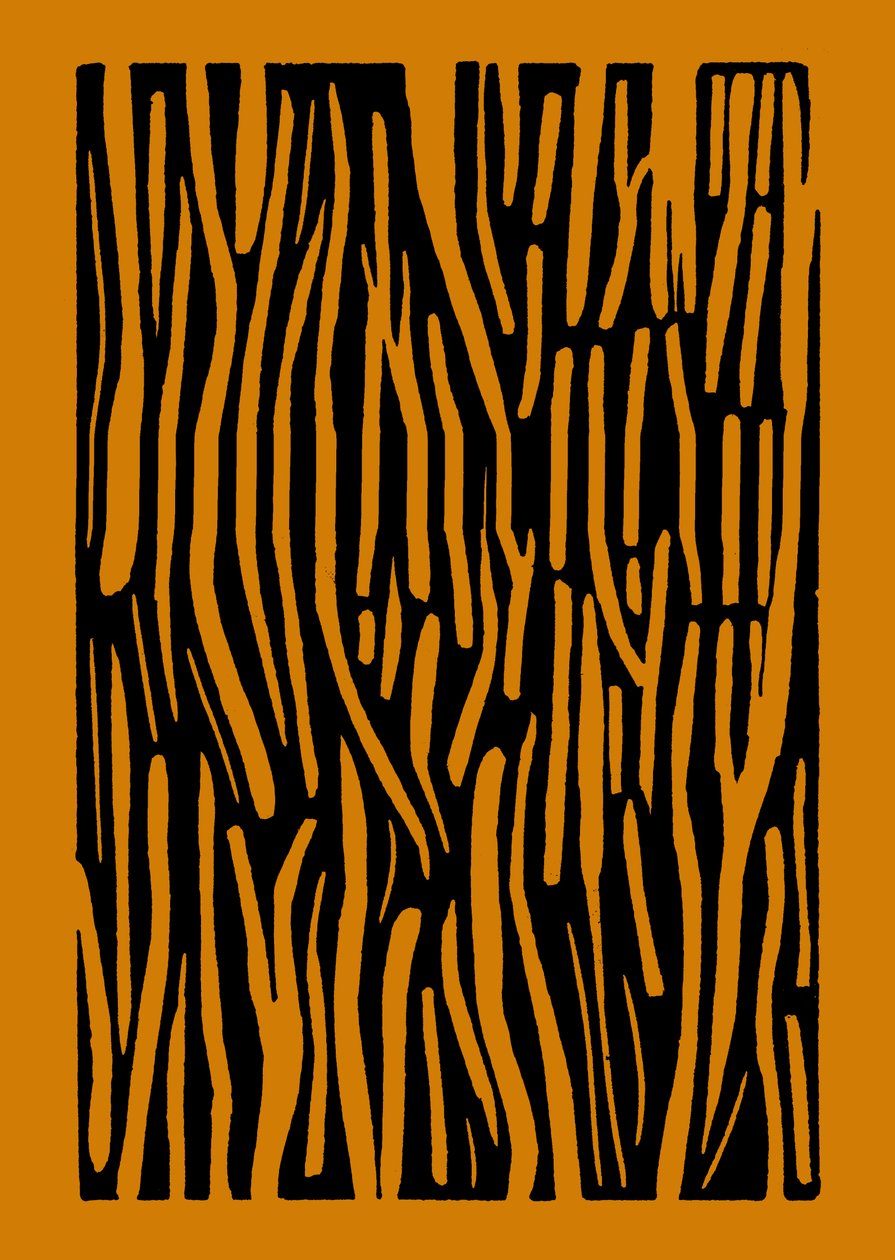 Wood, 2023 by Marco Campedelli