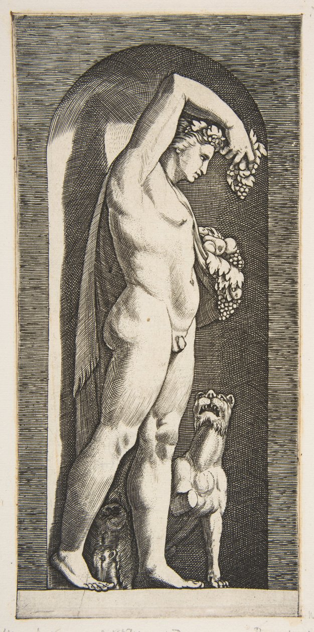 Bacchus Standing in a Niche Holding Grapes in His Raised Right Hand, Fruit in His Left by Marco Dente