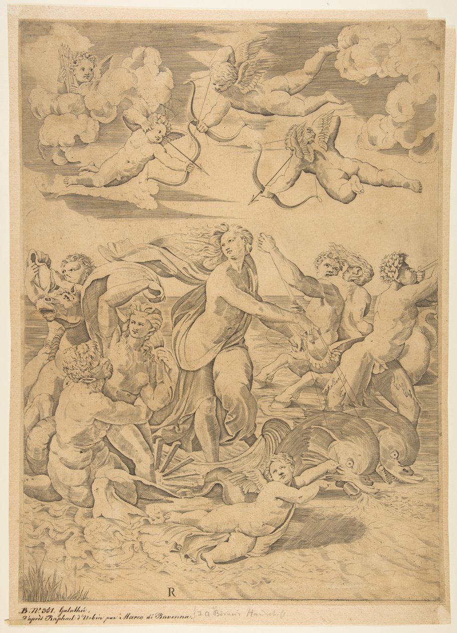 Galatea Riding in a Shell Pulled Through the Water by Dolphins by Marco Dente