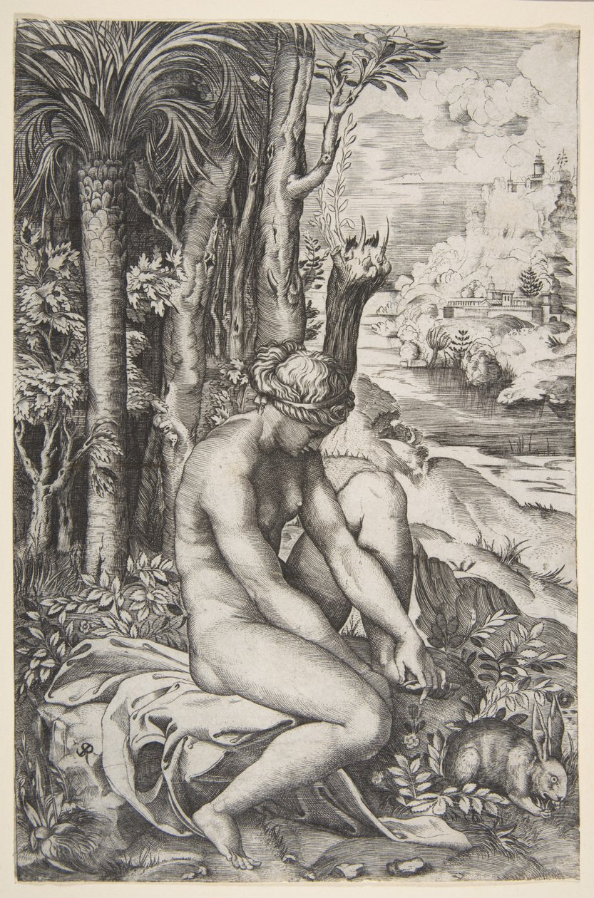 Venus removing a thorn from her left foot while seated on a cloth next to trees by Marco Dente