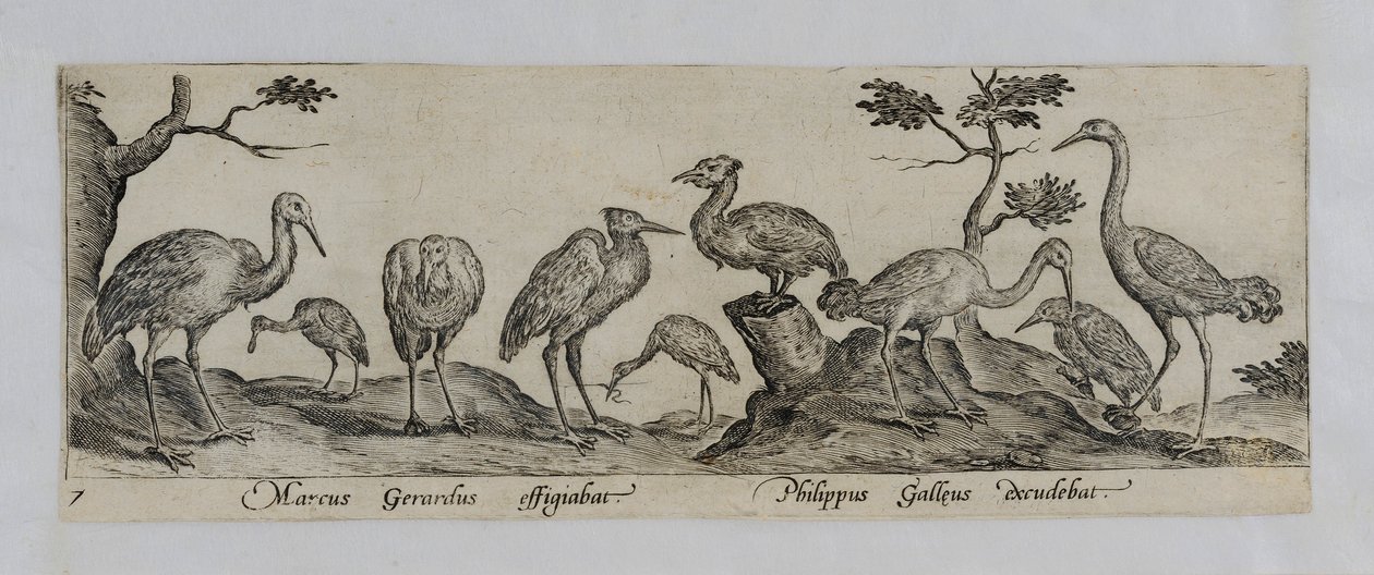 Old Master Engraving by Marcus Gheeraerts