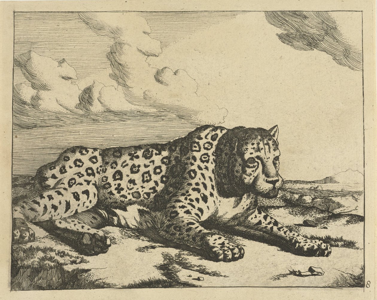 Leopard Lying to the Right, Paws Towards the Viewer by Marcus de Bye
