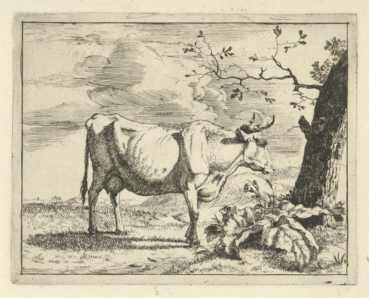 Standing Cow by Tree (Cattle and Pigs series) by Marcus de Bye