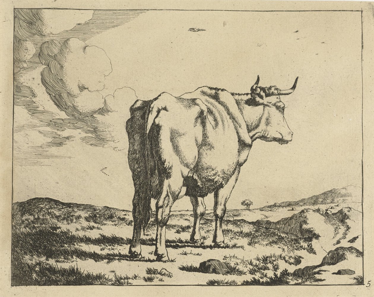 Standing Cow Seen from Behind (Cattle) by Marcus de Bye