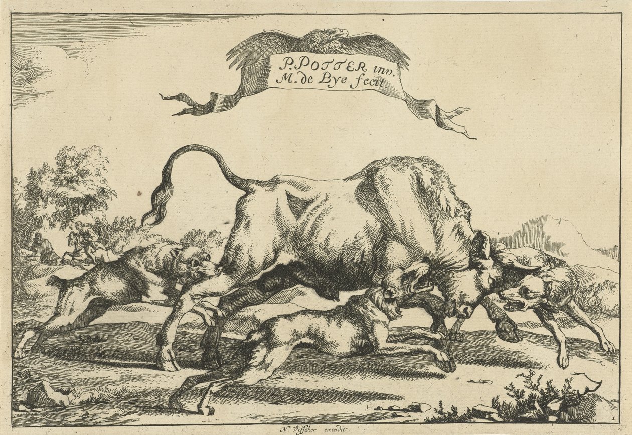 Bull Attacked by Three Hunting Dogs (Hunting Dogs) by Marcus de Bye