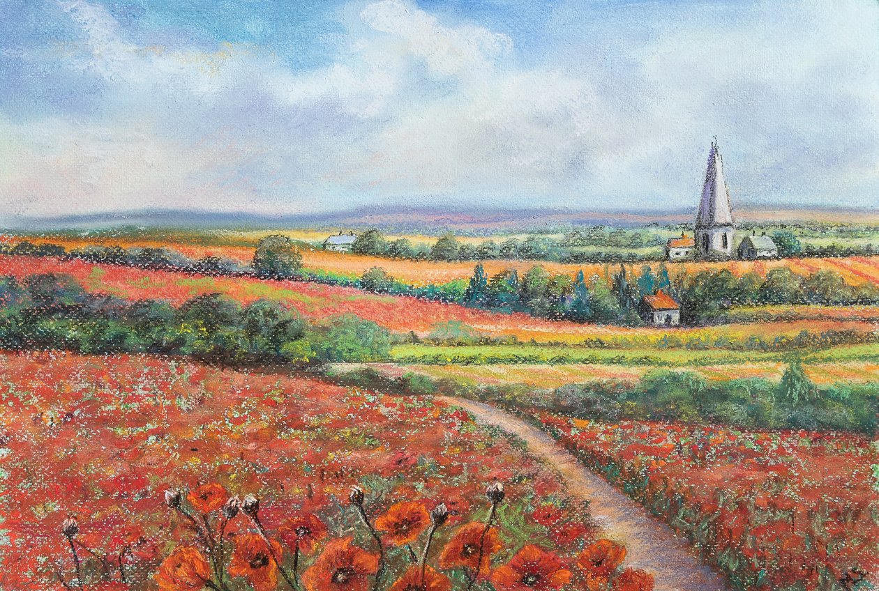Cotswold poppy field, 2022 by Margo Starkey