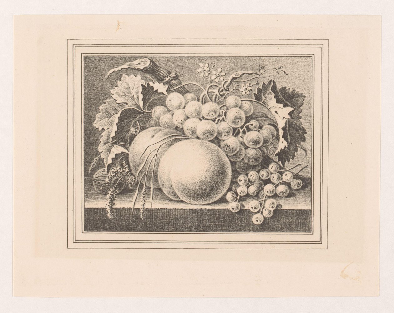Composition with Fruits in a Frame by Maria Geertruida de Goeje Barbiers (attributed to)