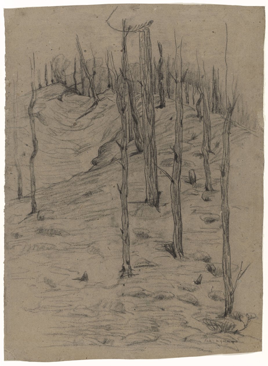 Bare Pine Trunks on Sloping Terrain by Maria Johanna Goemans
