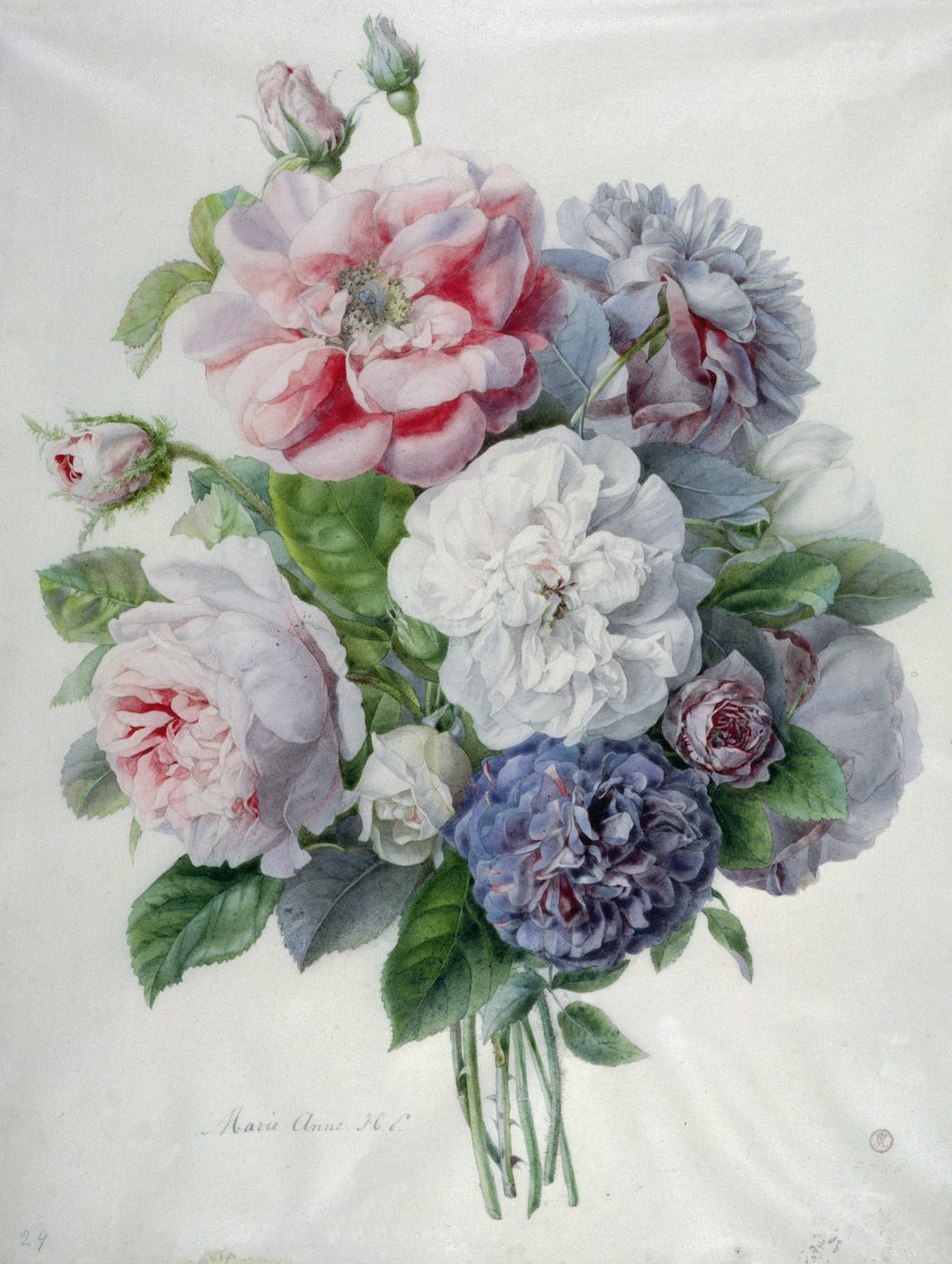 Flower Pieces by Marie Anne