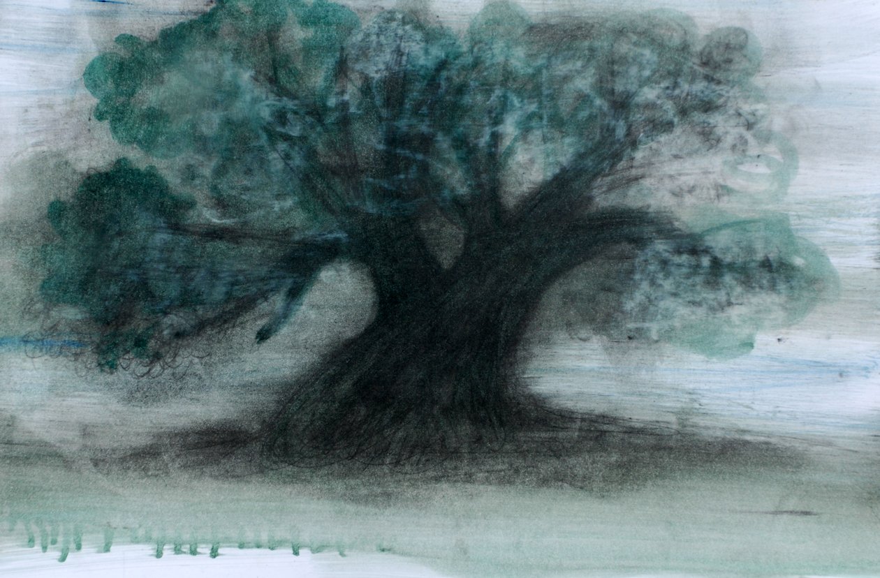 Olive Tree by Marina Falco
