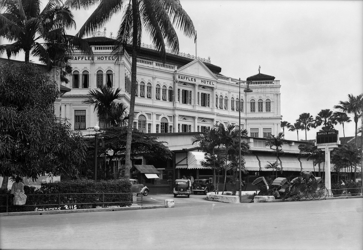 A View of the Raffles Hotel, Singapore by Marine Photo Service