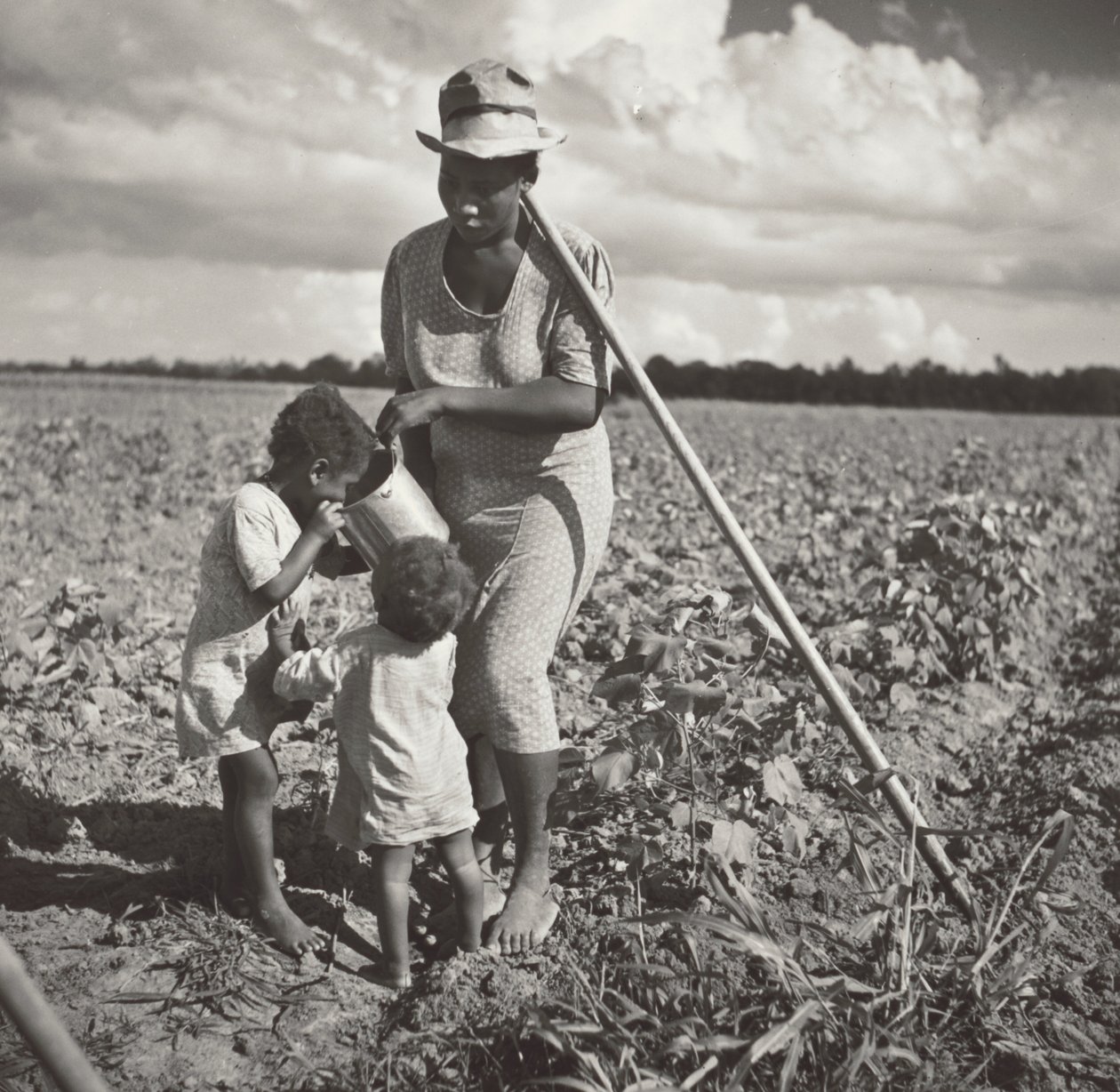 Black Woman Giving Her Children a Drink in the Field Where She