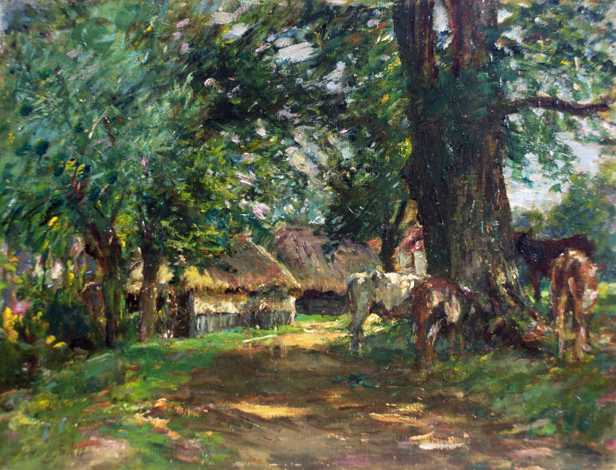 In the Shade by Mark Fisher