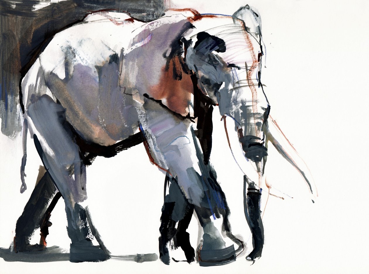 African Elephant by Mark Adlington