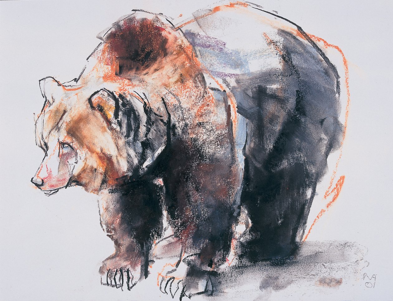 European Brown Bear, 2001 by Mark Adlington