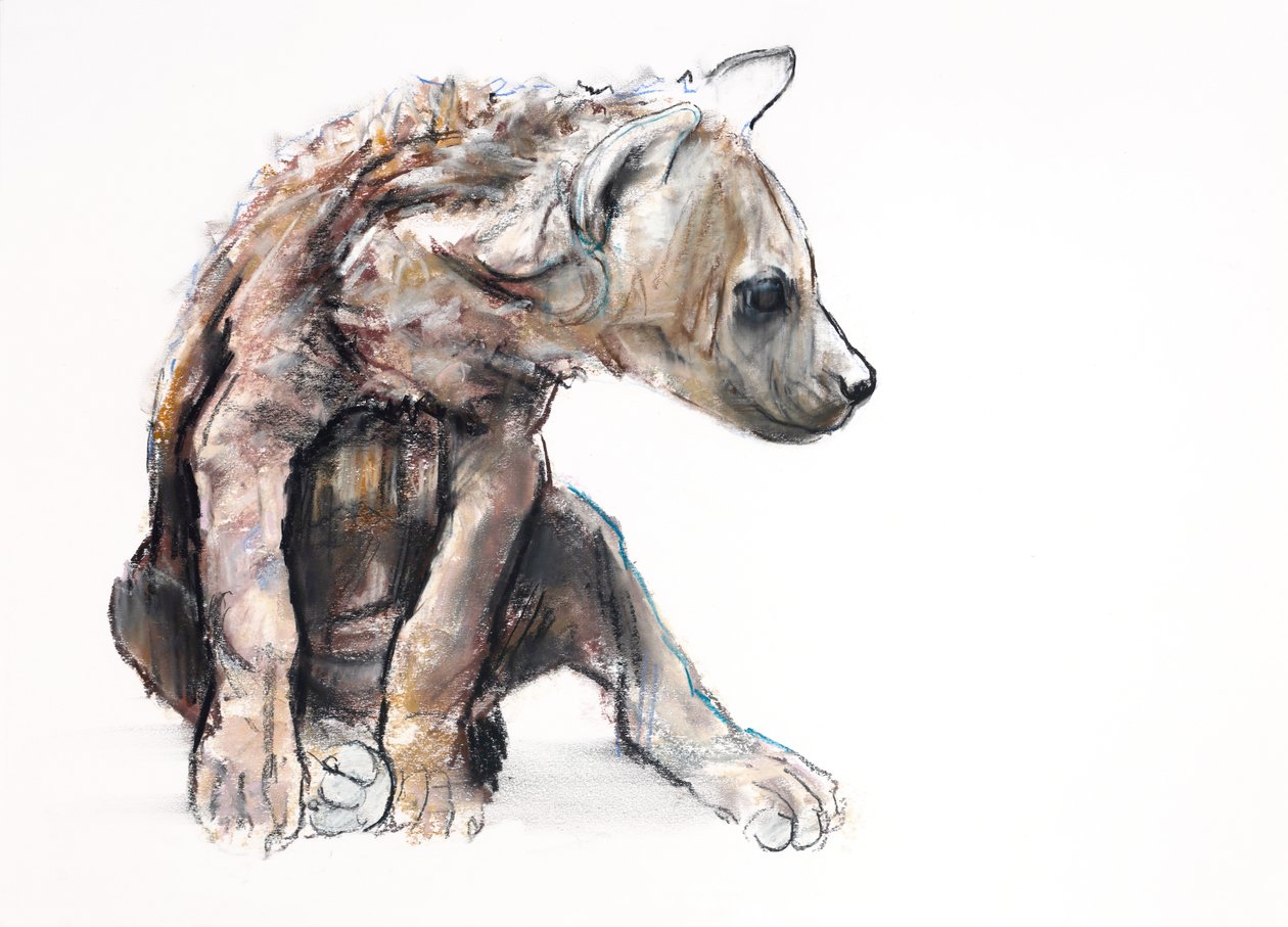 Hyaena Pup (profile) by Mark Adlington