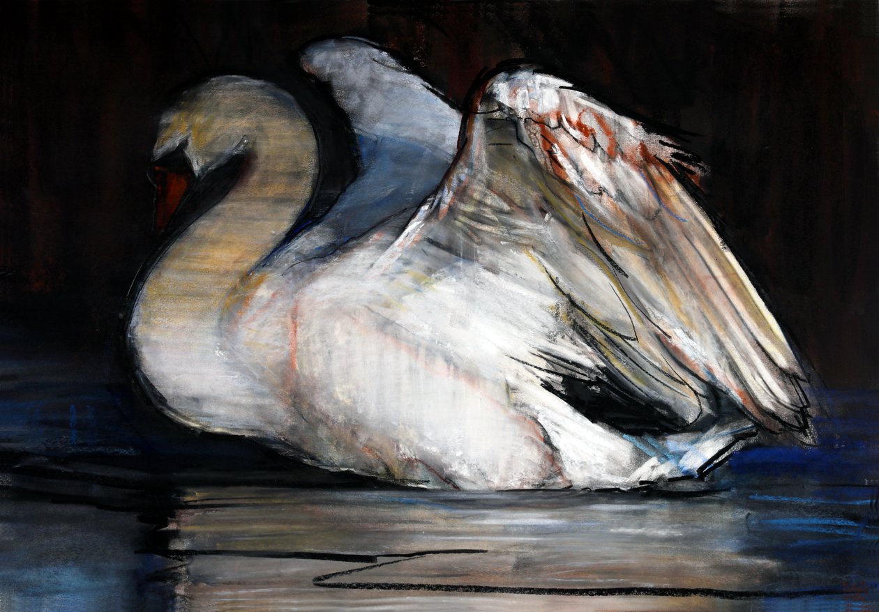 Night Swan, 2022 by Mark Adlington