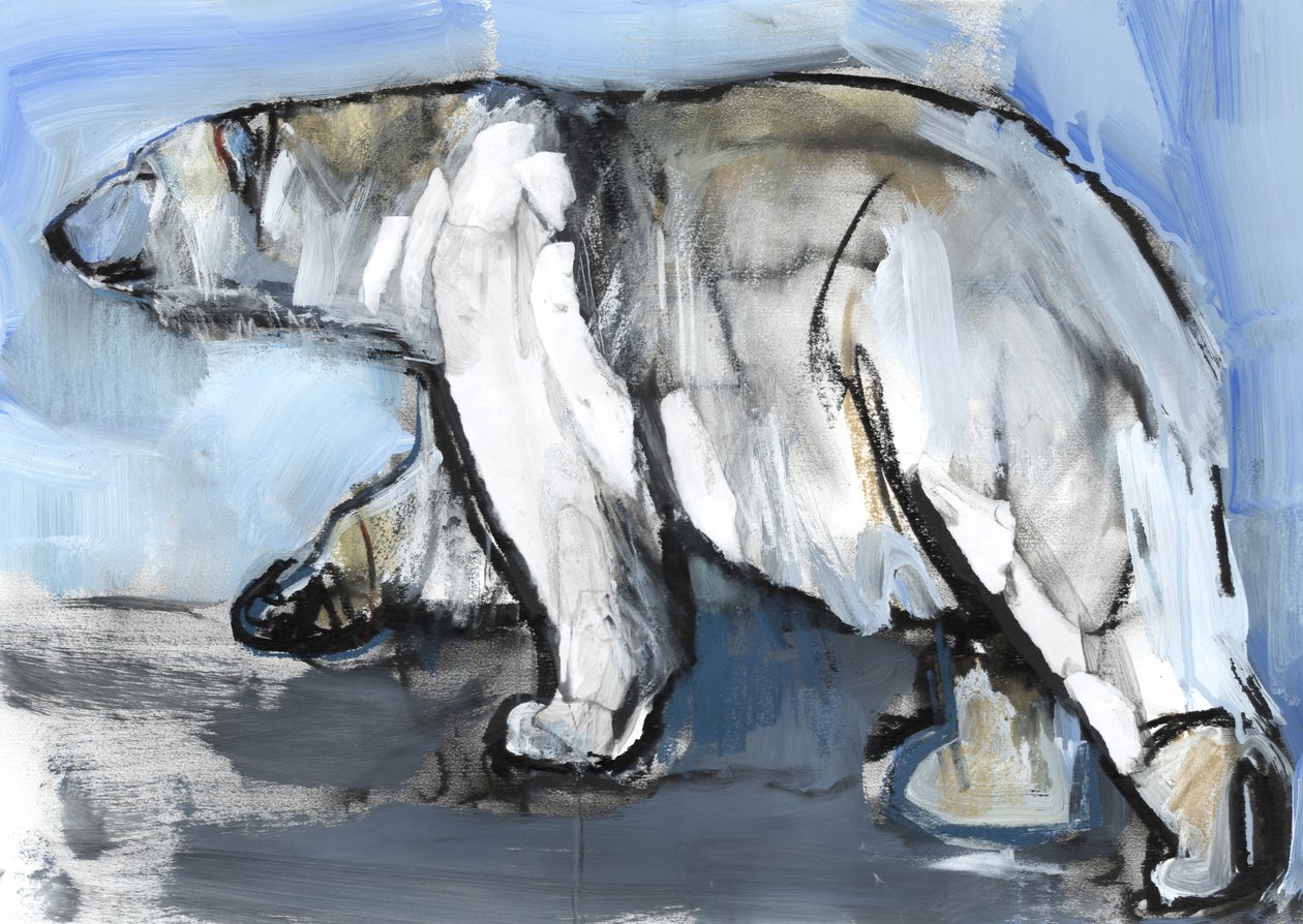 Polar by Mark Adlington