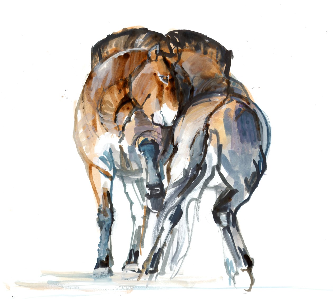 Power Dance (Przewalski) by Mark Adlington