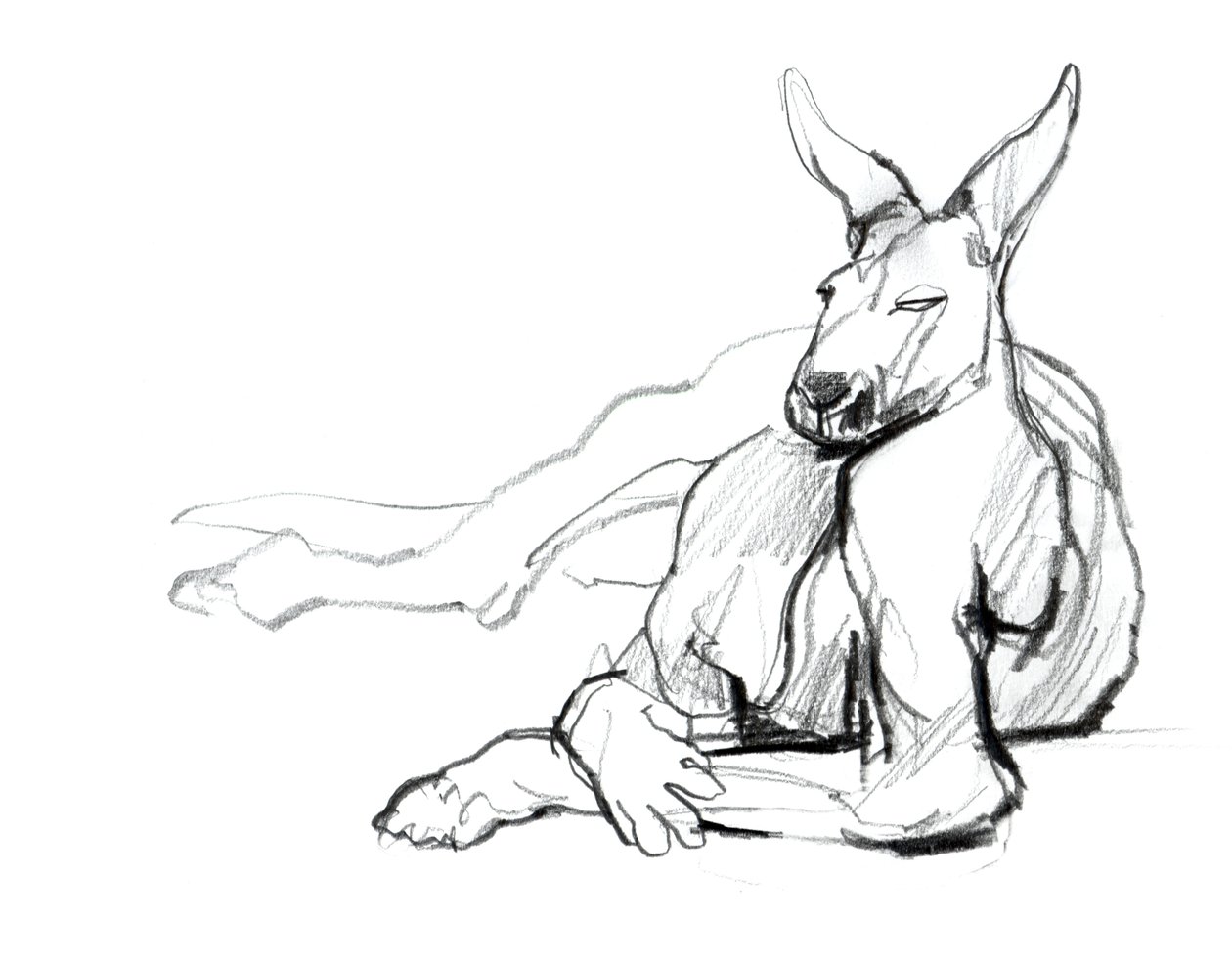 Resting Athlete (Red Kangaroo), 2012 by Mark Adlington
