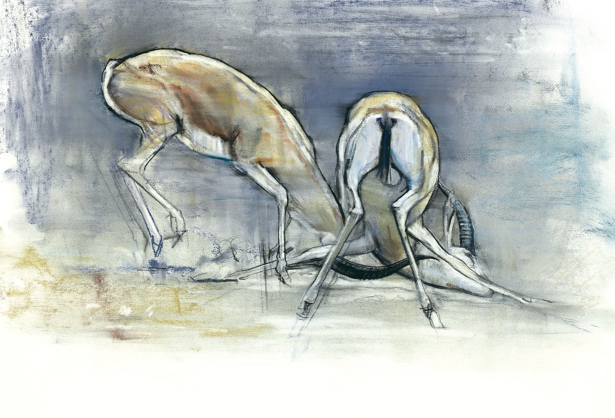 Sand Gazelles by Mark Adlington