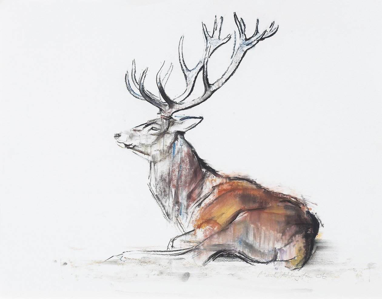 Seated Stag by Mark Adlington