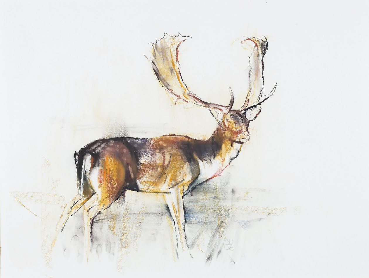Study of a Stag by Mark Adlington
