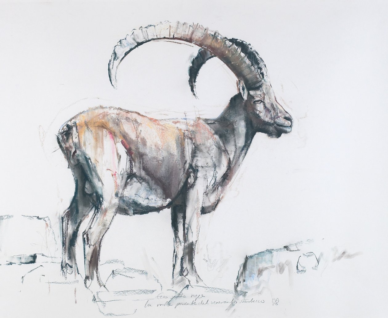 Venerando Stambecco, 2006 by Mark Adlington