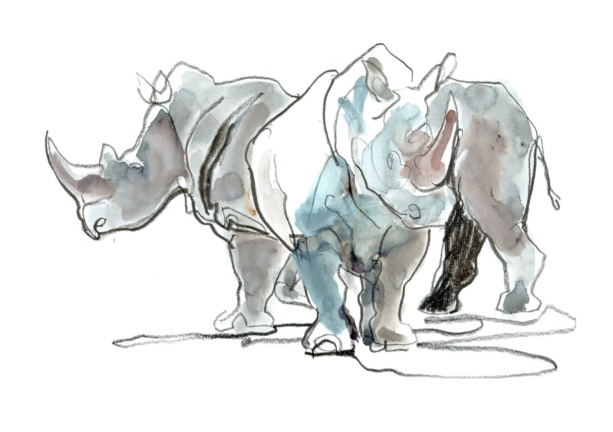White Rhinos, Mount Etjo, 2020 by Mark Adlington