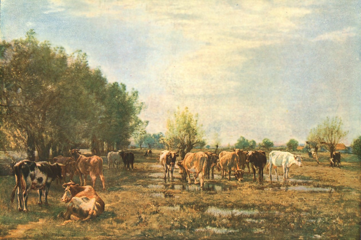 Fen Meadows with Cattle by Mark Fisher