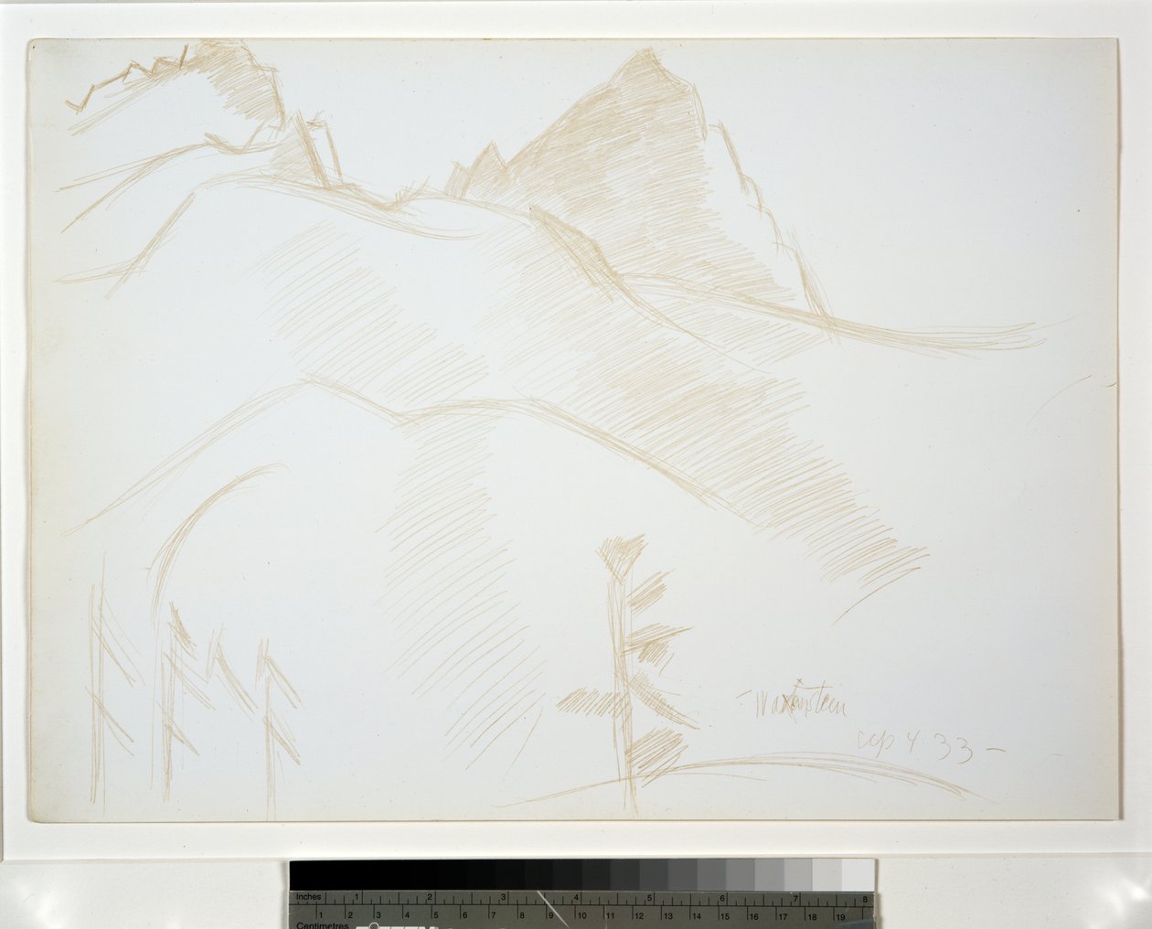 Mountain Landscape with Pine Trees by Marsden Hartley
