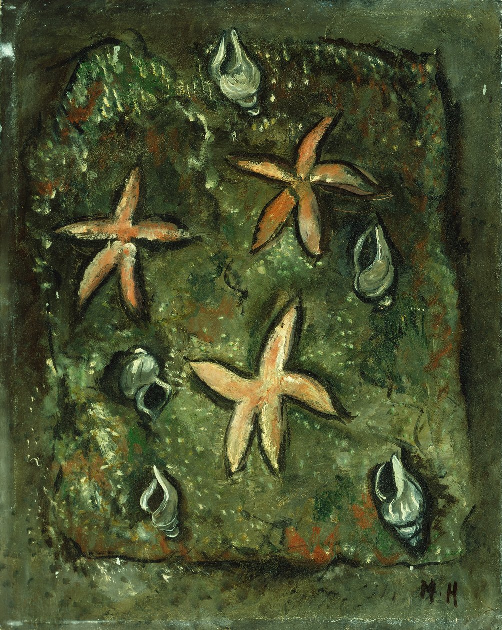 Star Fish and Shells by Marsden Hartley