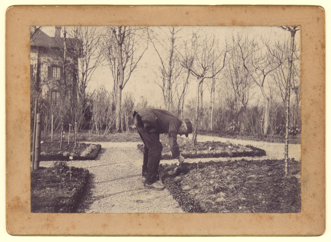 Gustave Caillebotte Gardening at Petit Gennevilliers, February 1892 by Martial Caillebotte
