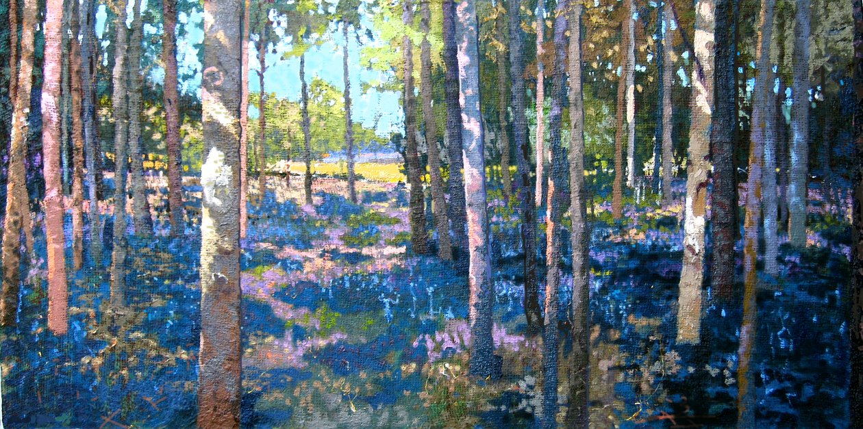 Bluebell Wood by Martin Decent