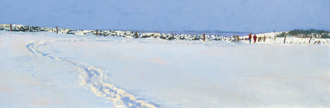 Snow Approaching by Martin Decent