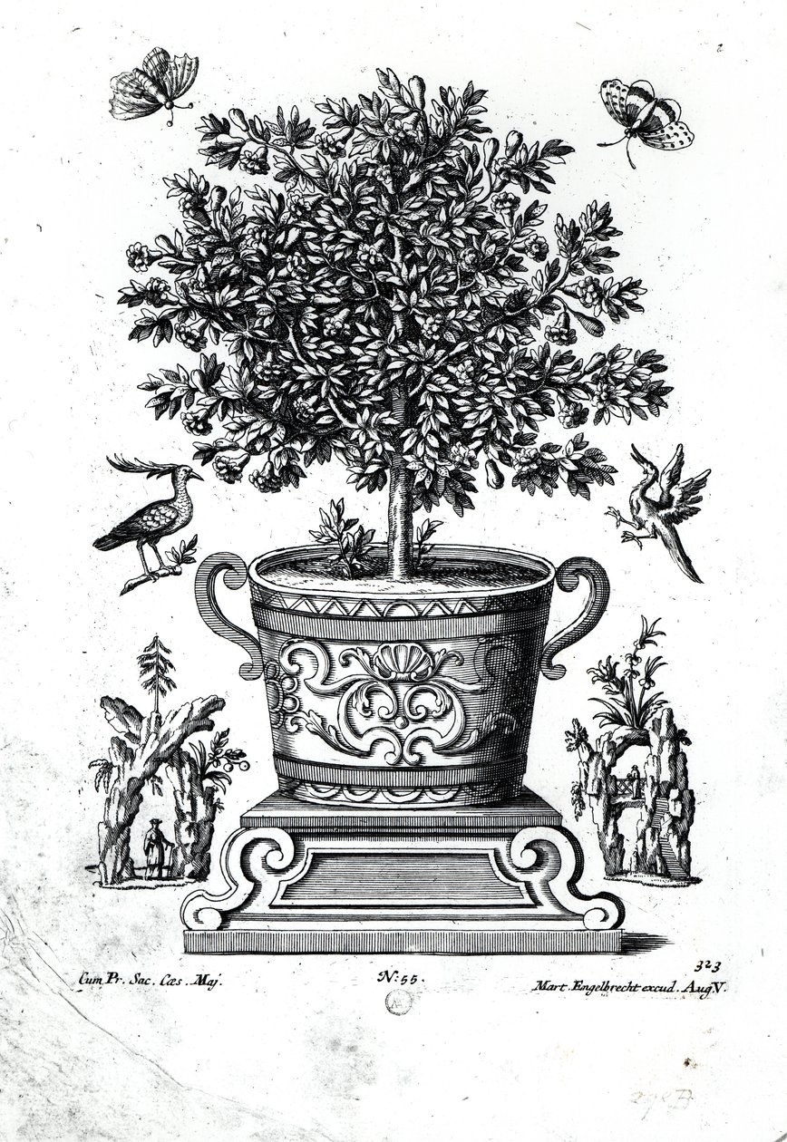 Ornamental Tree in an Urn on a Small Stage by Martin Engelbrecht