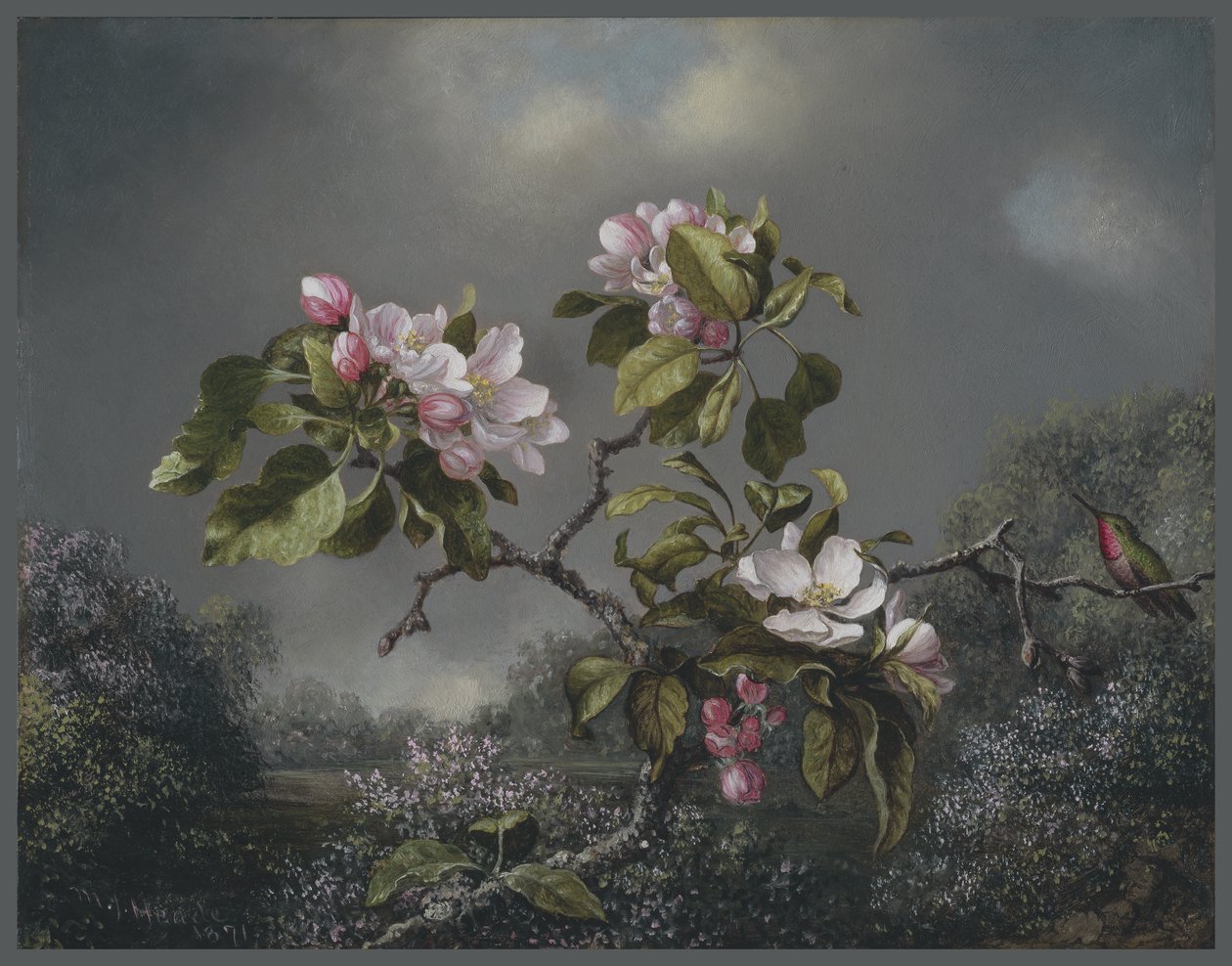 Apple Blossoms and Hummingbird, 1871 by Martin Johnson Heade
