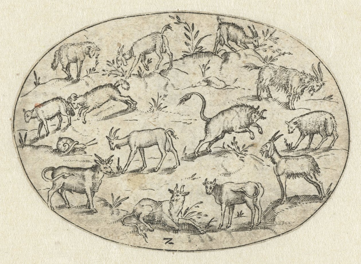 Oval with Thirteen Goats by Martin Pleginck