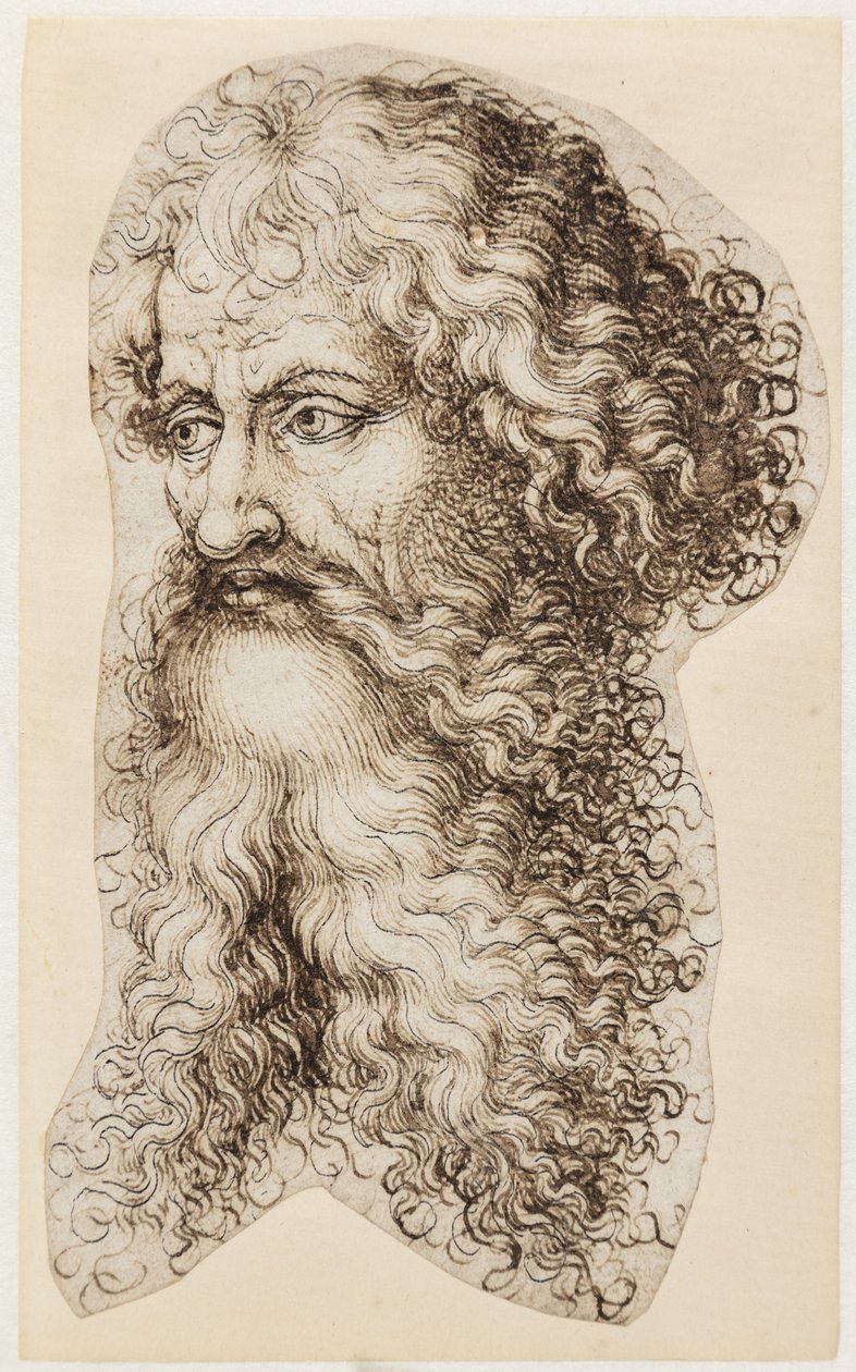 Bearded Man