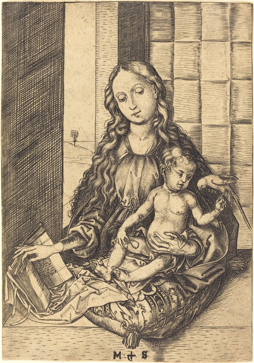 Madonna with a Parrot by Martin Schongauer
