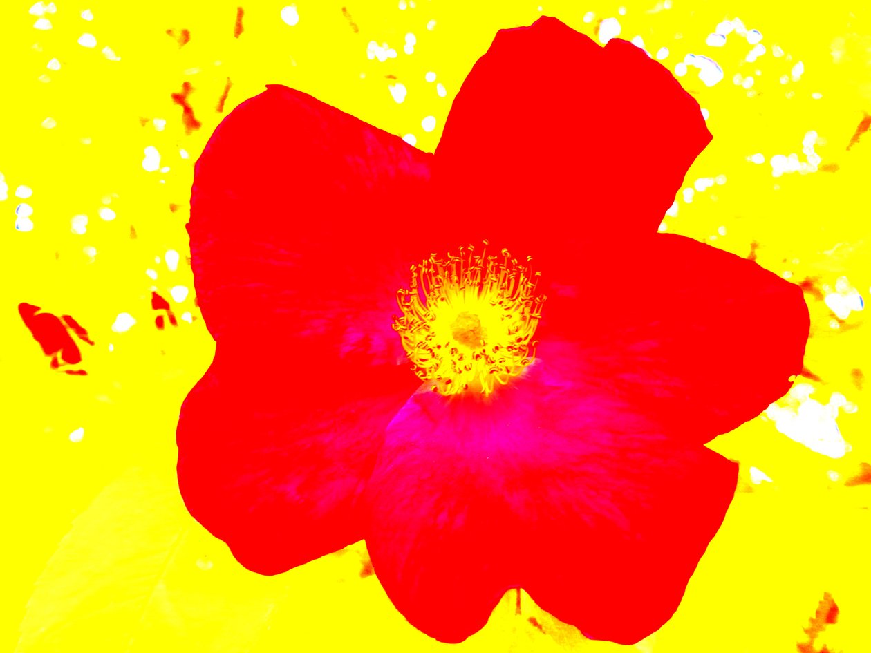 Pop Art Homage Andy Warhol by Martina Konitzky