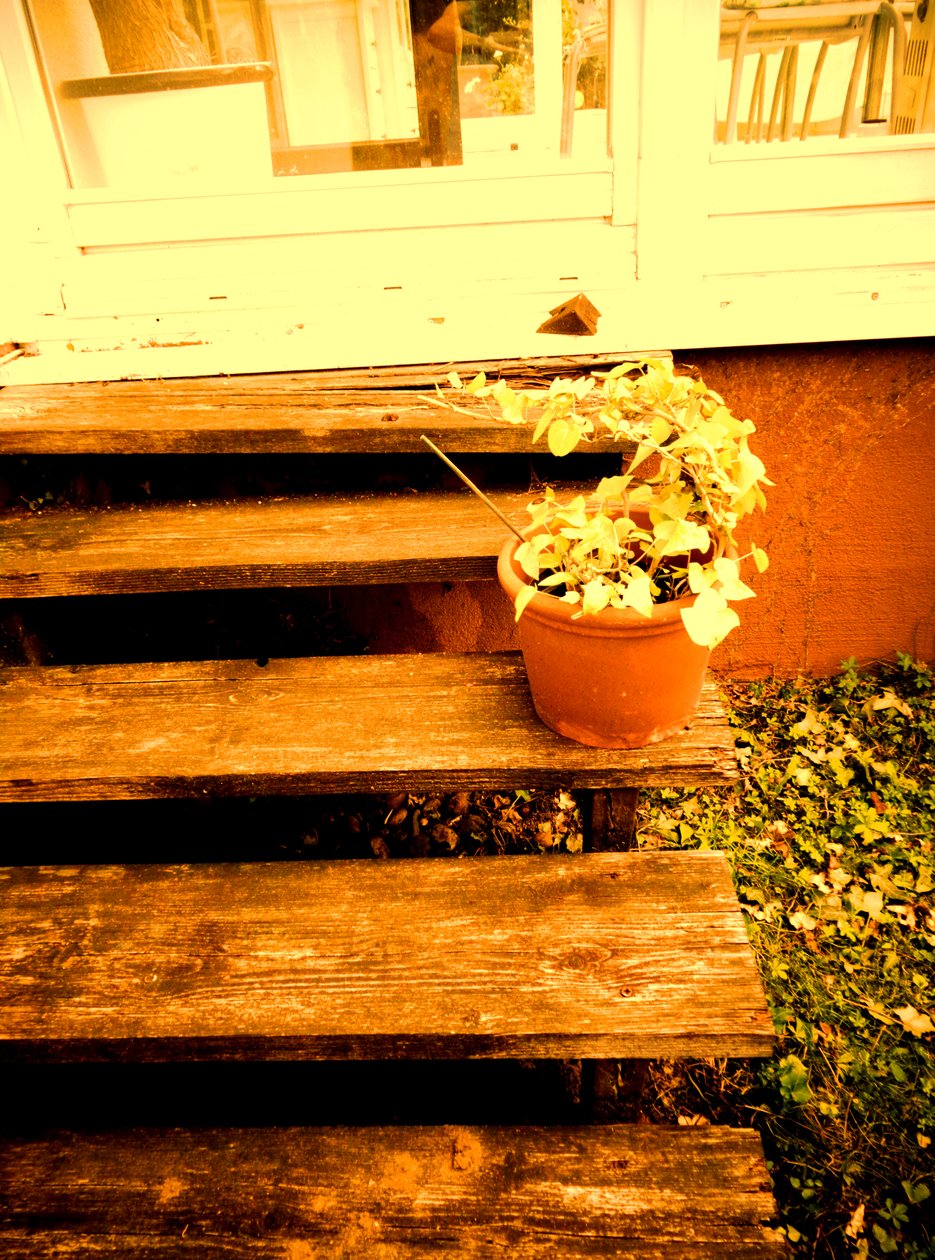 Veranda Steps by Martina Konitzky