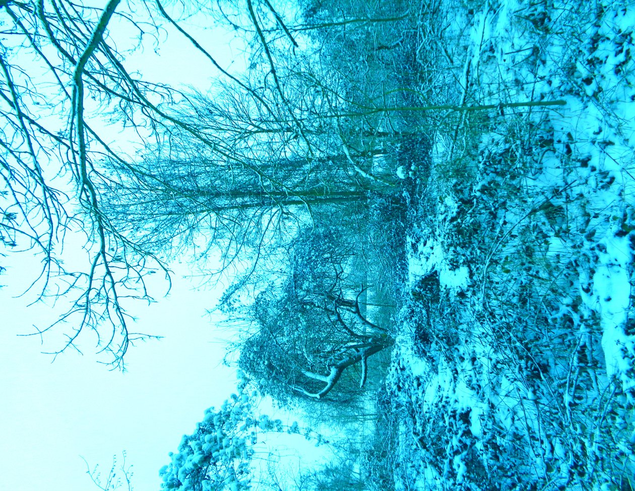 Winter Blue by Martina Konitzky