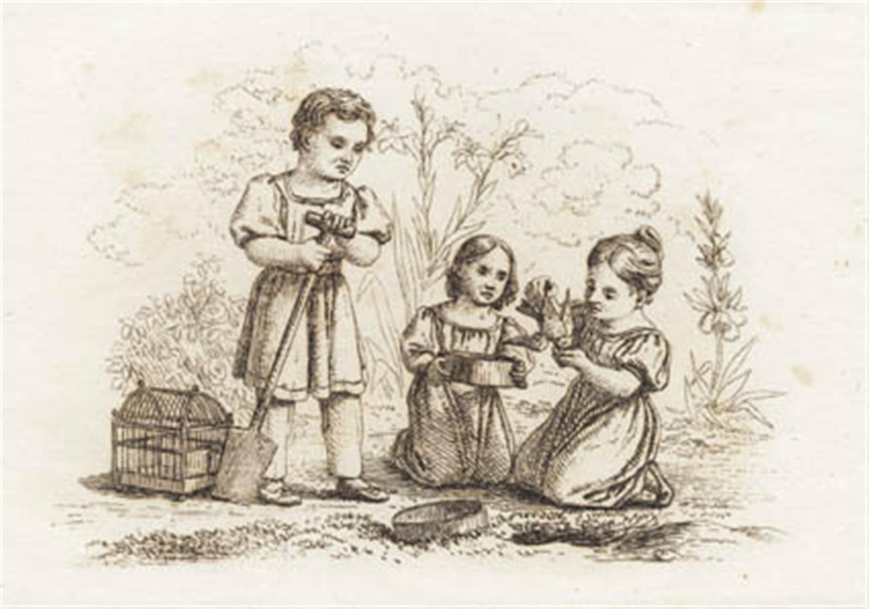 Illustration for 