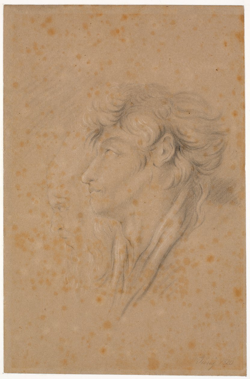 Study of a Youth and a Bearded Old Man