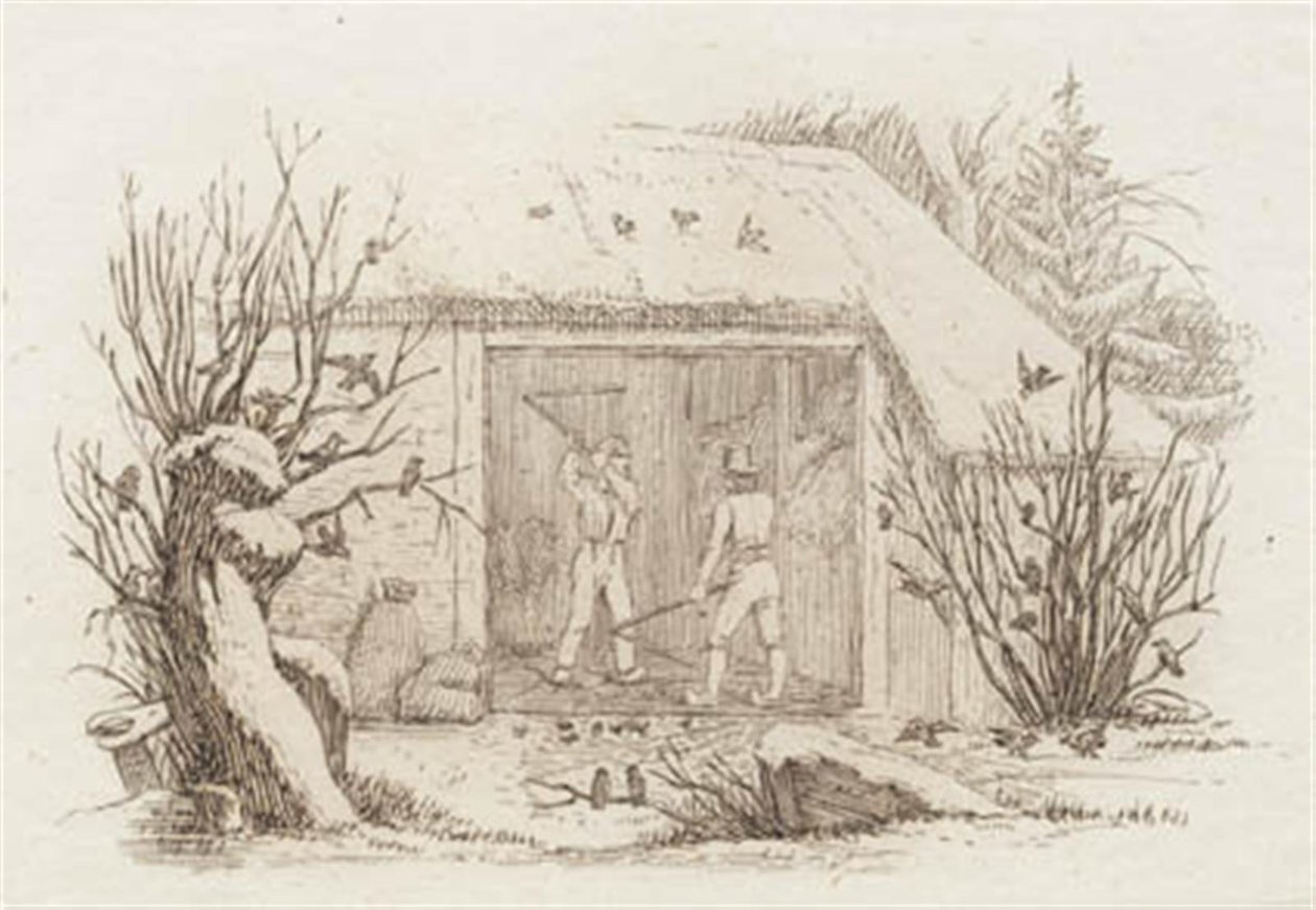 Illustration for 