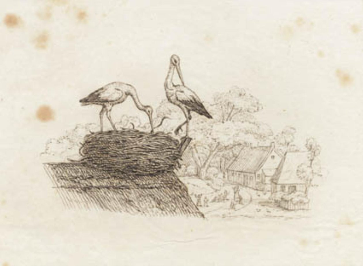 Illustration for 