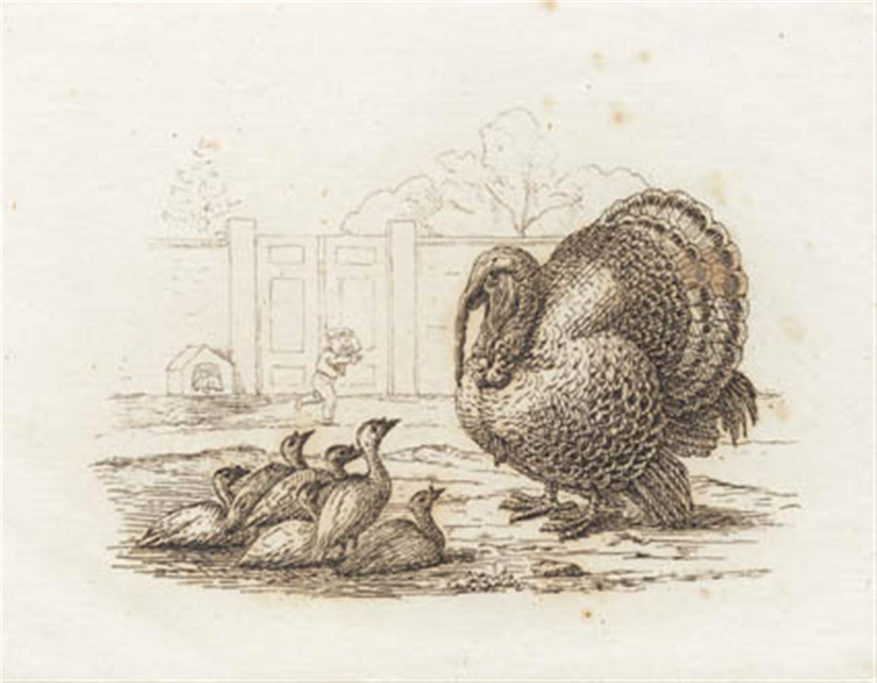 Illustration for 