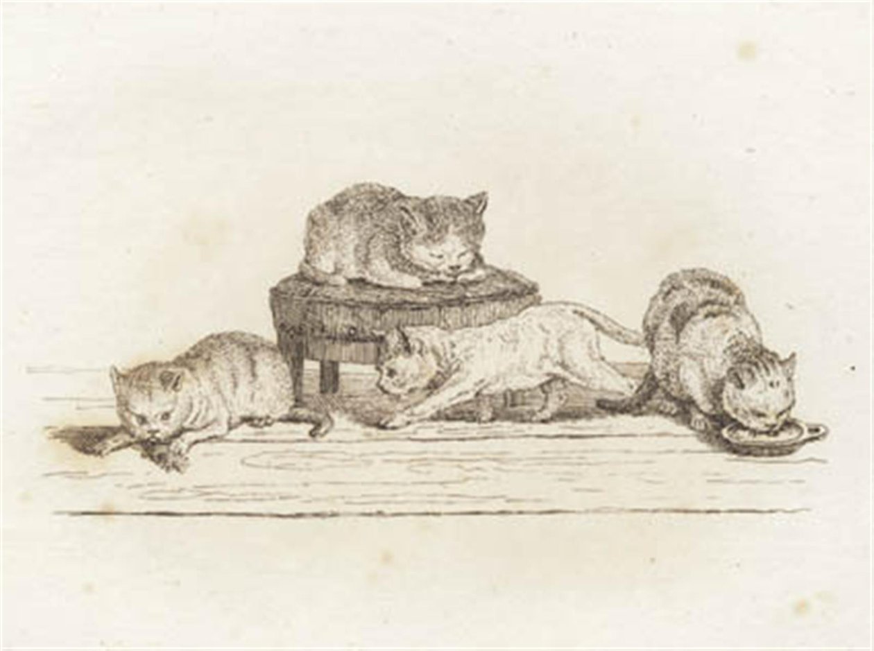 Illustration of 