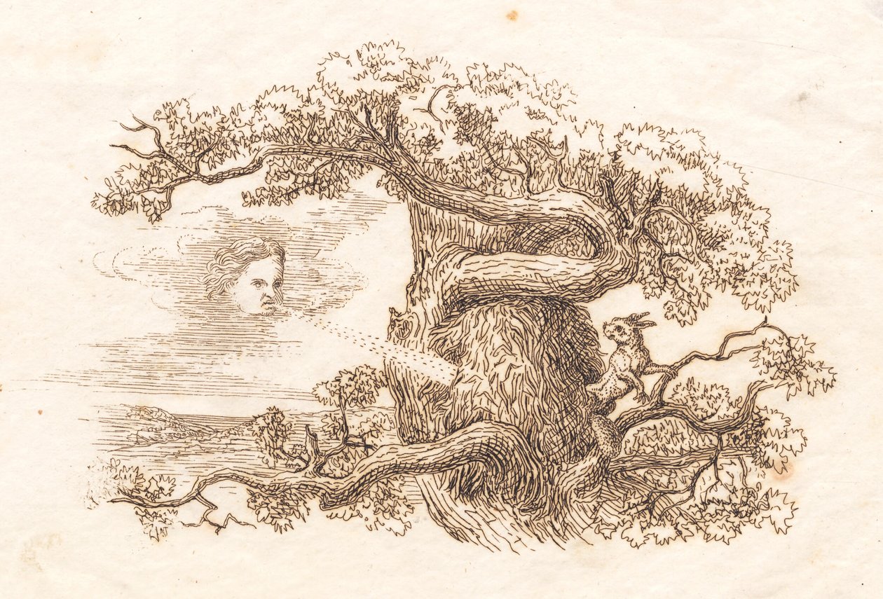 Illustration for 